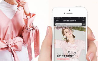 項目定制開發,b2b2c商城開發,多商戶商城