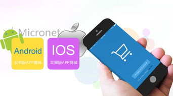 定制版app軟件開(kāi)發(fā)公司 app開(kāi)發(fā)解決方案