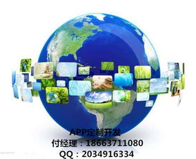 購物返還模式消費全返系統平臺app商城定制開發的各種模式