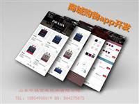購物商城app開發價格及影響因素圖片_高清圖