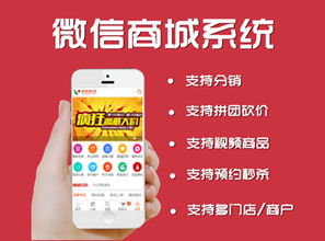 電腦商城 微信商城 定制開發價格 電腦商城 微信商城 定制開發型號規格