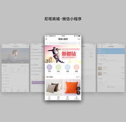 成都商城電商小程序定制開發設計