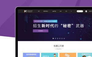 圖 上海網站建設 高級定制 商城開發 網站建站仿站 上海網站建設推廣
