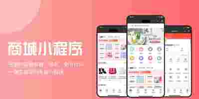 巴中*開發,軟件開發,系統開發,購物商城